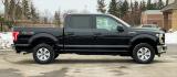 2016 BLACK FORD F-150 (1FTEW1E80GF) with an V6,3.5L(213 CID),DOHC engine, AUTOMATIC transmission, located at 14600 Frazho Road, Warren, MI, 48089, (586) 776-3400, 42.485996, -82.974220 - Photo#1