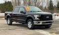 2016 BLACK FORD F-150 (1FTEW1E80GF) with an V6,3.5L(213 CID),DOHC engine, AUTOMATIC transmission, located at 14600 Frazho Road, Warren, MI, 48089, (586) 776-3400, 42.485996, -82.974220 - Photo#3