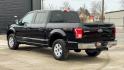 2016 BLACK FORD F-150 (1FTEW1E80GF) with an V6,3.5L(213 CID),DOHC engine, AUTOMATIC transmission, located at 14600 Frazho Road, Warren, MI, 48089, (586) 776-3400, 42.485996, -82.974220 - Photo#7