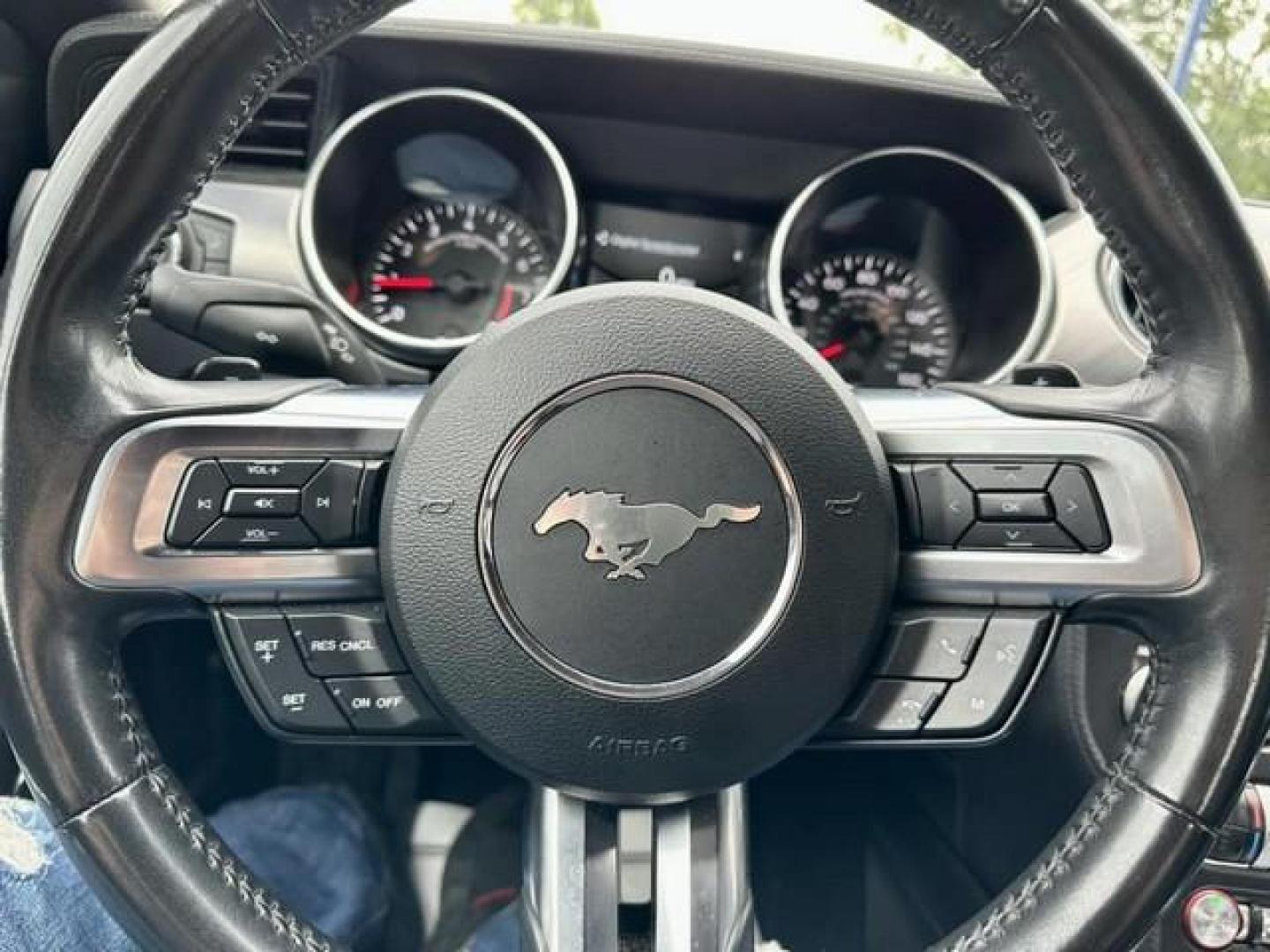 2020 ICONIC SILVER /Black FORD MUSTANG EcoBoost Premium Convertible (1FATP8UH2L5) with an L4,2.3L(140 CID), engine, AUTOMATIC transmission, located at 14600 Frazho Road, Warren, MI, 48089, (586) 776-3400, 42.485996, -82.974220 - Photo#13