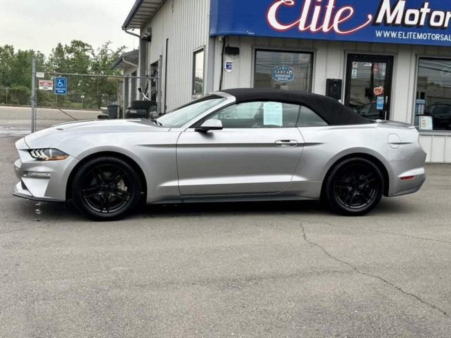 2020 ICONIC SILVER /Black FORD MUSTANG EcoBoost Premium Convertible (1FATP8UH2L5) with an L4,2.3L(140 CID), engine, AUTOMATIC transmission, located at 14600 Frazho Road, Warren, MI, 48089, (586) 776-3400, 42.485996, -82.974220 - Photo#7