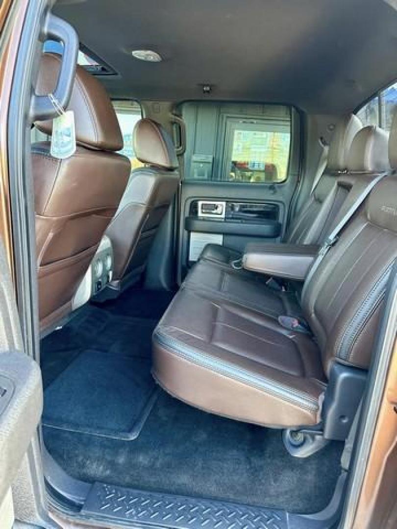 2011 GOLDEN BRONZE METALLIC FORD F-150 (1FTFW1EF7BF) with an V8,5.0L(302 CID),DOHC engine, AUTOMATIC transmission, located at 14600 Frazho Road, Warren, MI, 48089, (586) 776-3400, 42.485996, -82.974220 - Photo#16