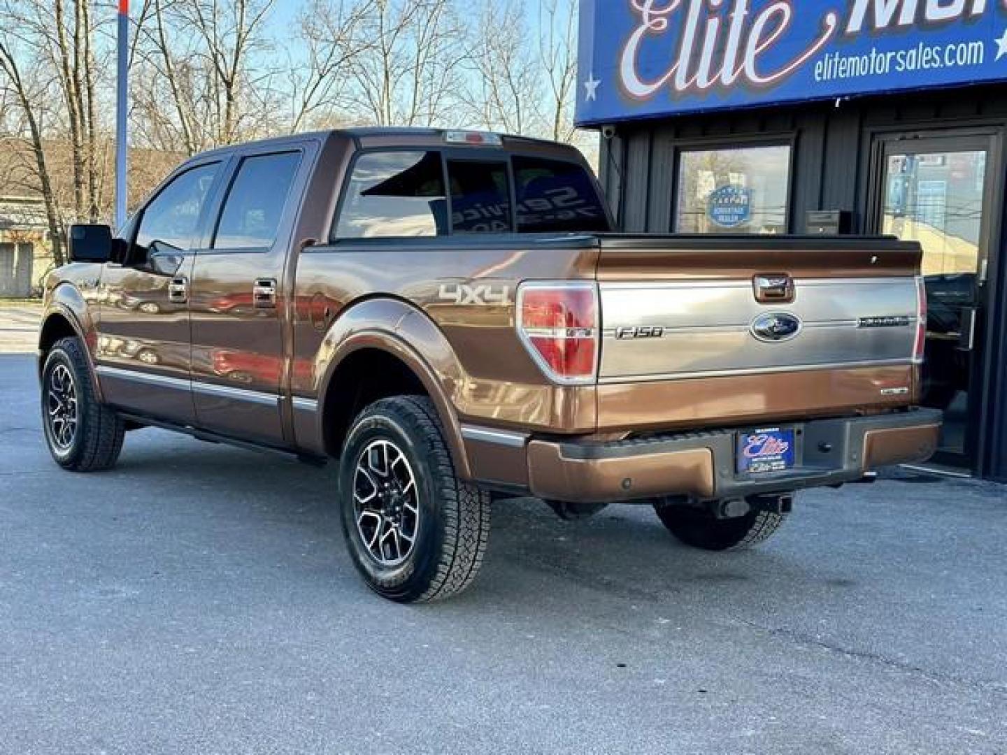 2011 GOLDEN BRONZE METALLIC FORD F-150 (1FTFW1EF7BF) with an V8,5.0L(302 CID),DOHC engine, AUTOMATIC transmission, located at 14600 Frazho Road, Warren, MI, 48089, (586) 776-3400, 42.485996, -82.974220 - Photo#5