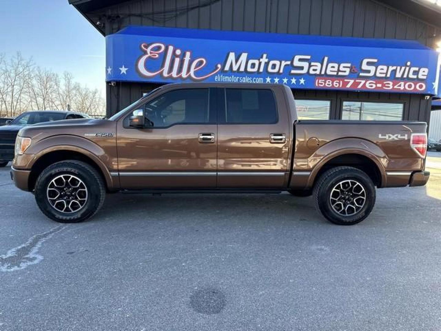 2011 GOLDEN BRONZE METALLIC FORD F-150 (1FTFW1EF7BF) with an V8,5.0L(302 CID),DOHC engine, AUTOMATIC transmission, located at 14600 Frazho Road, Warren, MI, 48089, (586) 776-3400, 42.485996, -82.974220 - Photo#6