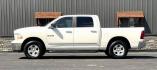 2009 WHITE DODGE RAM 1500 (1D3HV13P29S) with an V8,4.7L(287 CID),SOHC engine, AUTOMATIC transmission, located at 14600 Frazho Road, Warren, MI, 48089, (586) 776-3400, 42.485996, -82.974220 - Photo#4