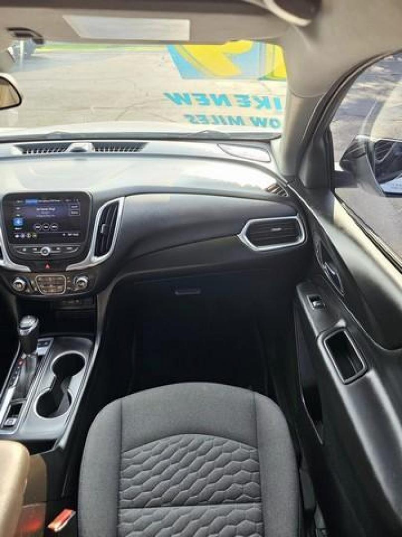 2019 WHITE CHEVROLET EQUINOX (2GNAXVEX1K6) with an L4,2.0L(122 CID),DOHC engine, AUTOMATIC transmission, located at 14600 Frazho Road, Warren, MI, 48089, (586) 776-3400, 42.485996, -82.974220 - Photo#10