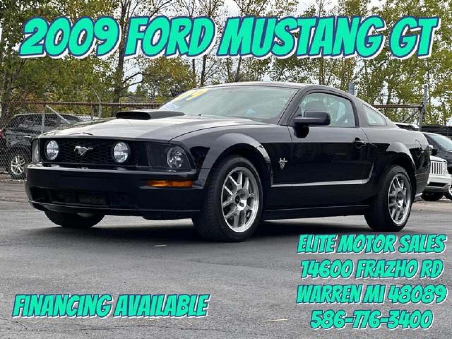 2009 BLACK FORD MUSTANG (1ZVHT82H495) with an V8,4.6L(281 CID),SOHC engine, AUTOMATIC transmission, located at 14600 Frazho Road, Warren, MI, 48089, (586) 776-3400, 42.485996, -82.974220 - Photo#0