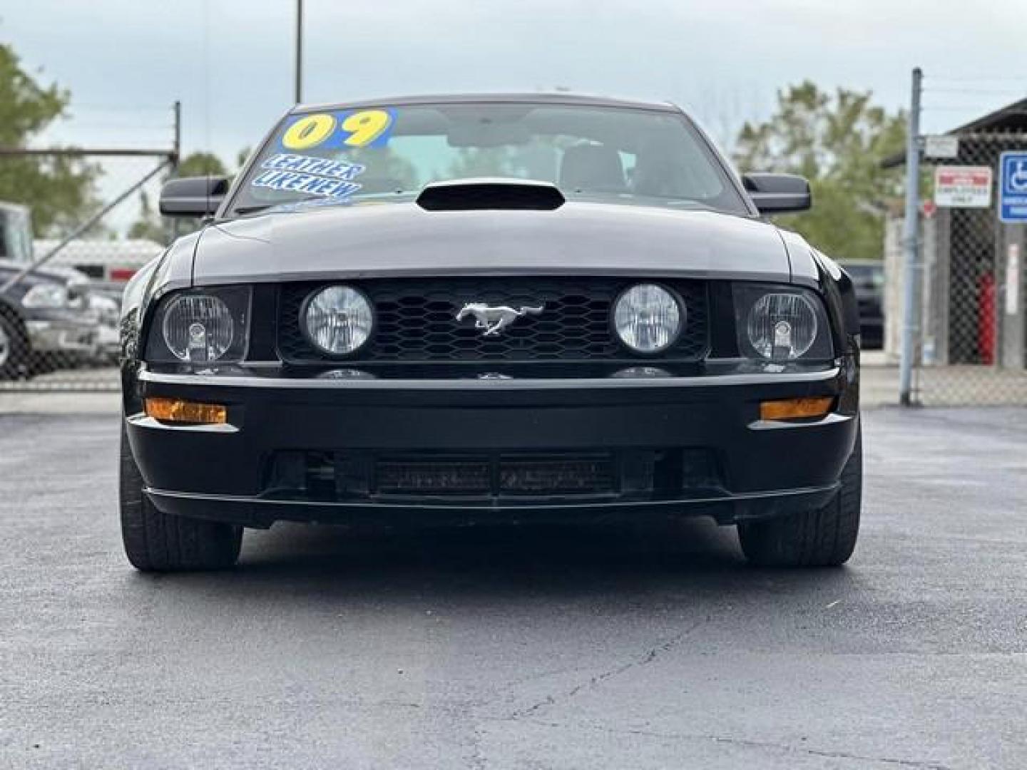 2009 BLACK FORD MUSTANG (1ZVHT82H495) with an V8,4.6L(281 CID),SOHC engine, AUTOMATIC transmission, located at 14600 Frazho Road, Warren, MI, 48089, (586) 776-3400, 42.485996, -82.974220 - Photo#1