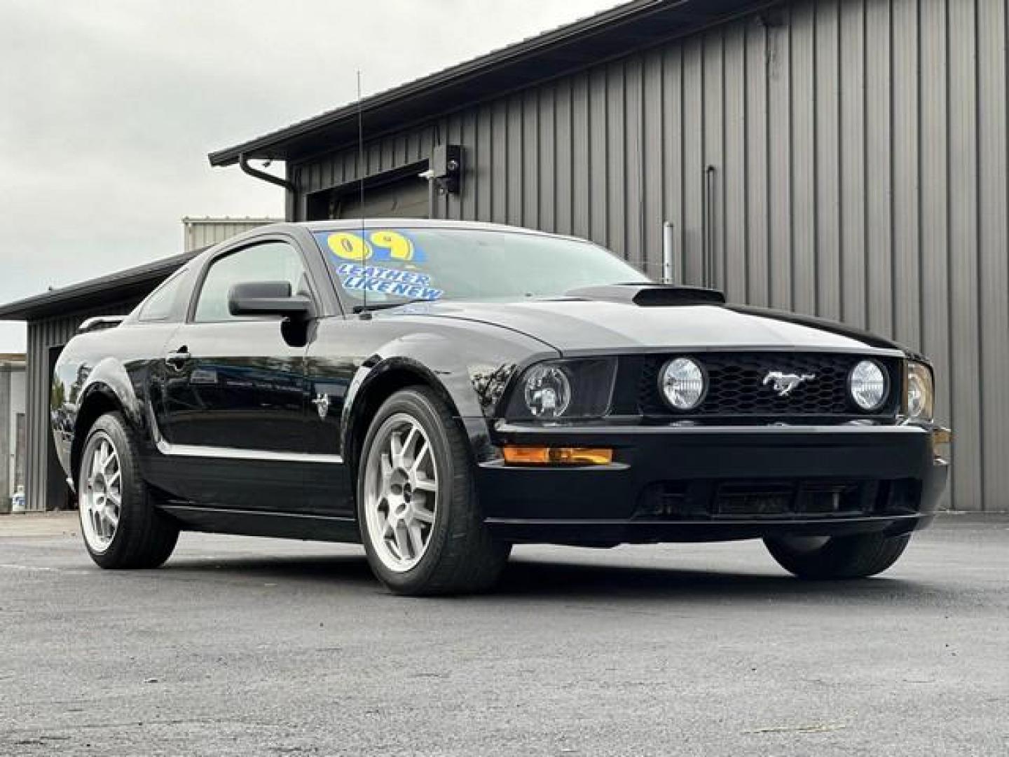 2009 BLACK FORD MUSTANG (1ZVHT82H495) with an V8,4.6L(281 CID),SOHC engine, AUTOMATIC transmission, located at 14600 Frazho Road, Warren, MI, 48089, (586) 776-3400, 42.485996, -82.974220 - Photo#2