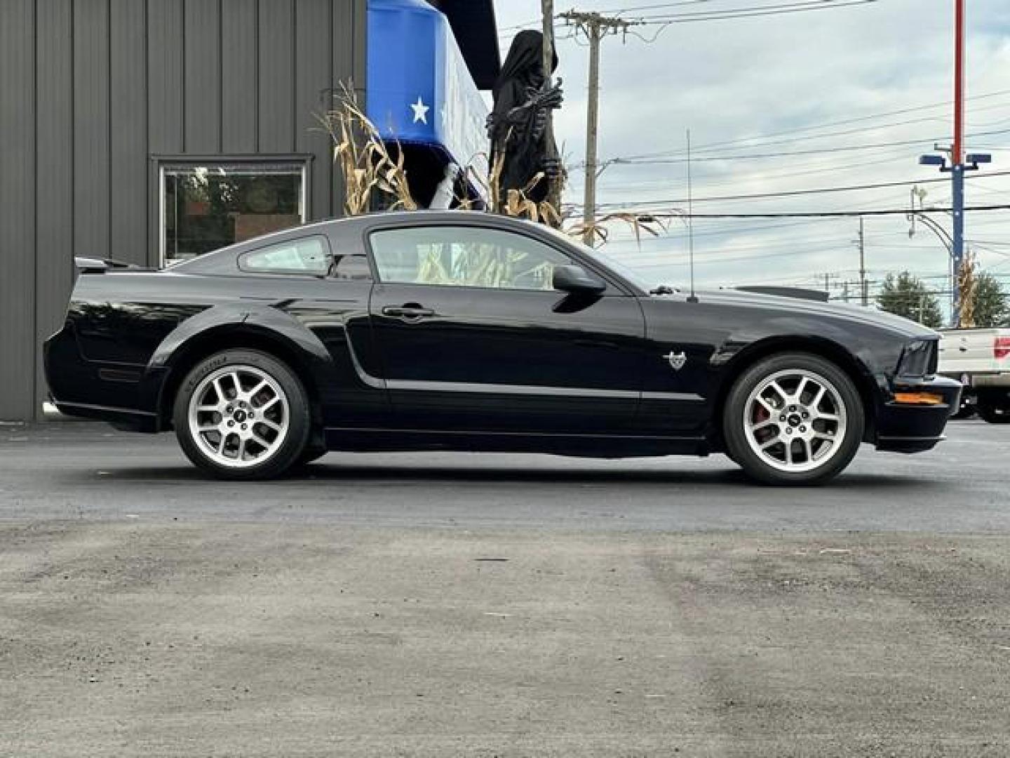 2009 BLACK FORD MUSTANG (1ZVHT82H495) with an V8,4.6L(281 CID),SOHC engine, AUTOMATIC transmission, located at 14600 Frazho Road, Warren, MI, 48089, (586) 776-3400, 42.485996, -82.974220 - Photo#3