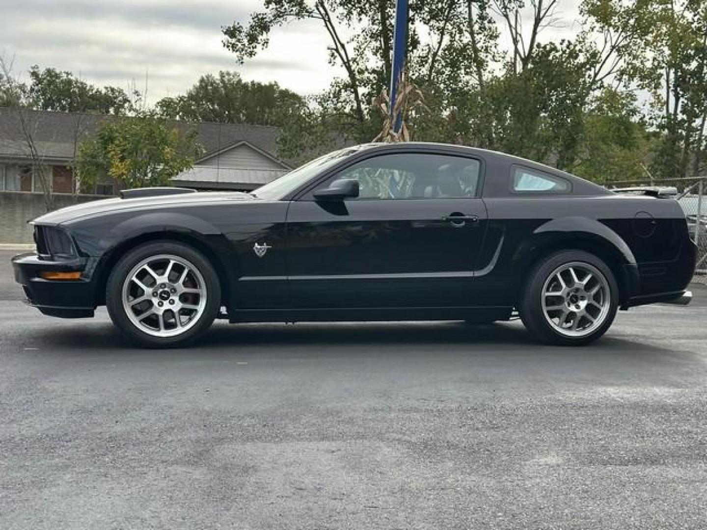 2009 BLACK FORD MUSTANG (1ZVHT82H495) with an V8,4.6L(281 CID),SOHC engine, AUTOMATIC transmission, located at 14600 Frazho Road, Warren, MI, 48089, (586) 776-3400, 42.485996, -82.974220 - Photo#7