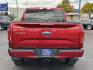 2017 RUBY RED METTALIC FORD F-150 (1FTEW1EF5HF) with an V8,5.0L(302 CID),DOHC engine, AUTOMATIC transmission, located at 14600 Frazho Road, Warren, MI, 48089, (586) 776-3400, 42.485996, -82.974220 - Photo#5