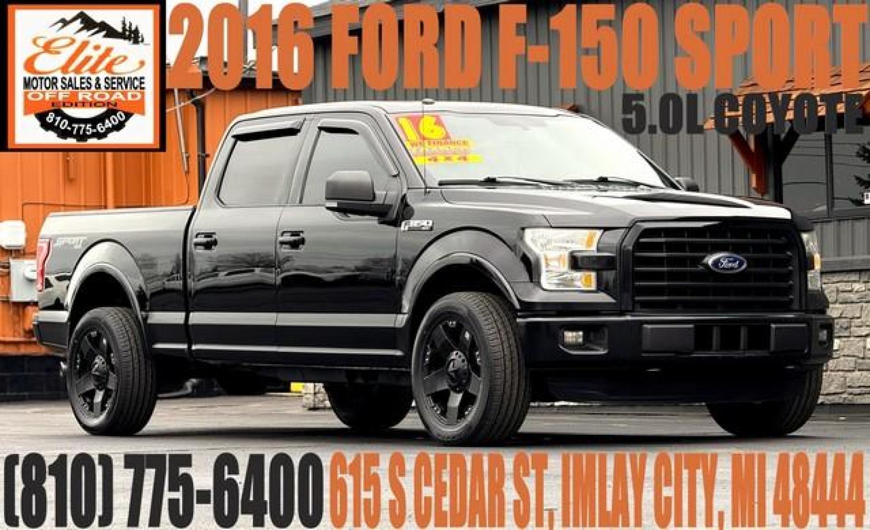 2016 BLACK FORD F-150 SPORT (1FTFW1EF2GK) with an V8,5.0L(302 CID),DOHC engine, AUTOMATIC transmission, located at 14600 Frazho Road, Warren, MI, 48089, (586) 776-3400, 42.485996, -82.974220 - Photo#0