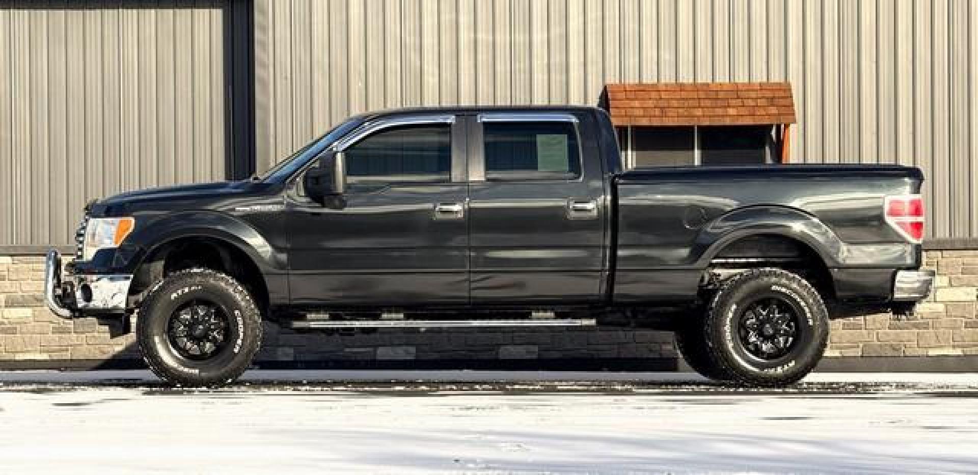 2011 BLACK FORD F-150 (1FTFW1EF1BF) with an V8,5.0L(302 CID),DOHC engine, AUTOMATIC transmission, located at 14600 Frazho Road, Warren, MI, 48089, (586) 776-3400, 42.485996, -82.974220 - Photo#1